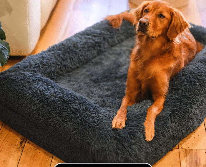 Keep Your Pet Comfortable with the Right Insulated Dog Bowl