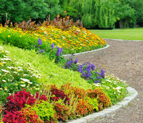 How to Landscape a Hill in Your&hellip;