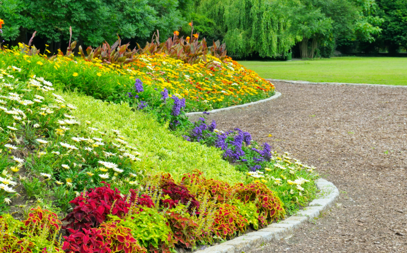 How to Landscape a Hill in Your Backyard